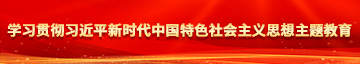 美女的小逼逼视频免费看学习贯彻习近平新时代中国特色社会主义思想主题教育